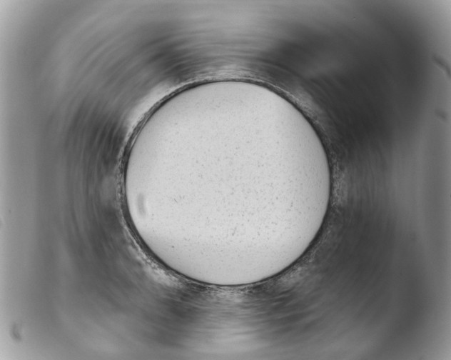 X0000103911086200810171700