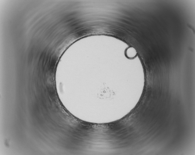X0000103911089200810171700