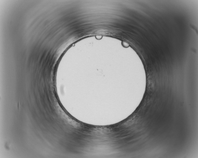 X0000103911091200810171700