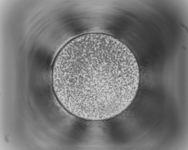 X0000103911092200810171700