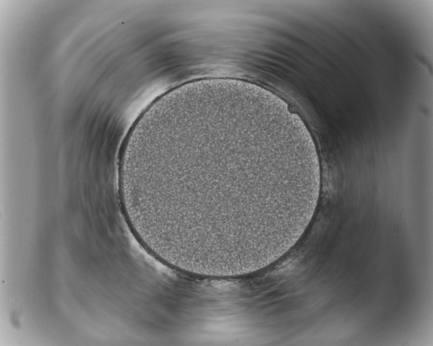 X0000103911095200810171659
