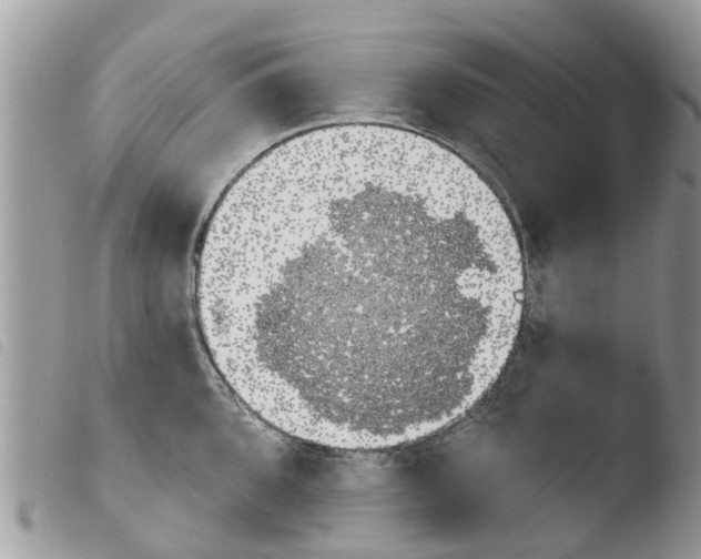 X0000103911096200810171659