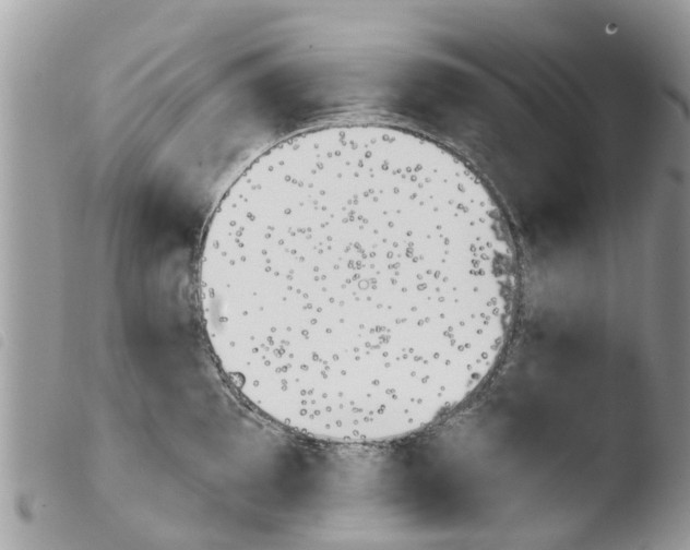 X0000103911097200810171659