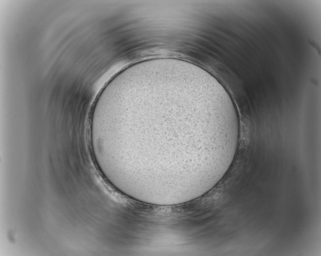 X0000103911098200810171659