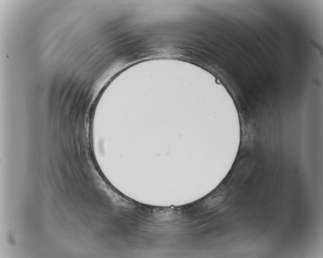 X0000103911099200810171659