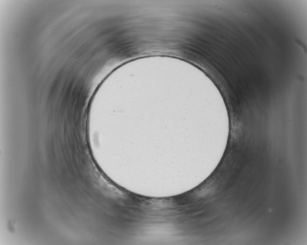 X0000103911102200810171659