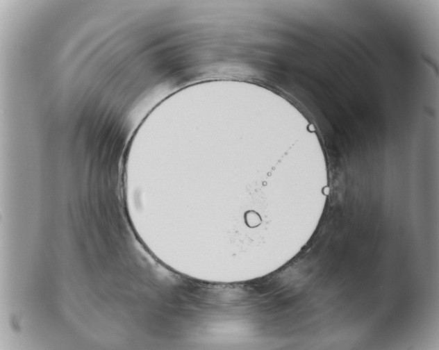 X0000103911103200810171659