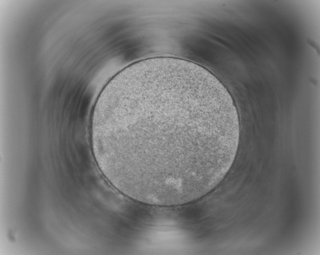 X0000103911104200810171659