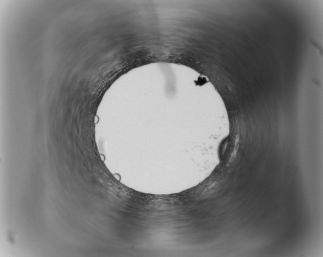 X0000103911105200810171659