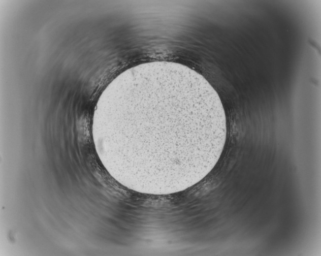 X0000103911106200810171659