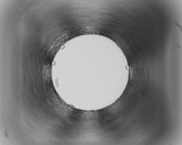 X0000103911107200810171659