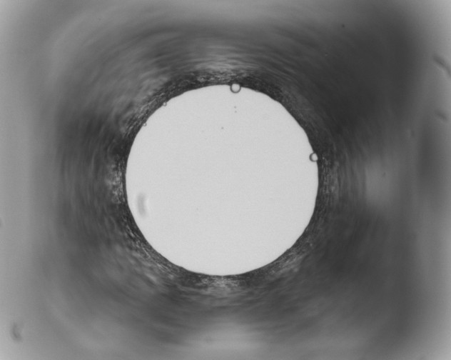 X0000103911109200810171659