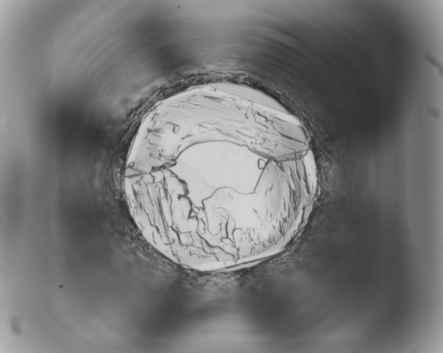 X0000103911110200810171659