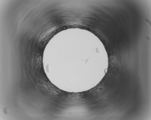X0000103911111200810171659