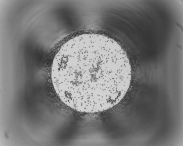 X0000103911112200810171659