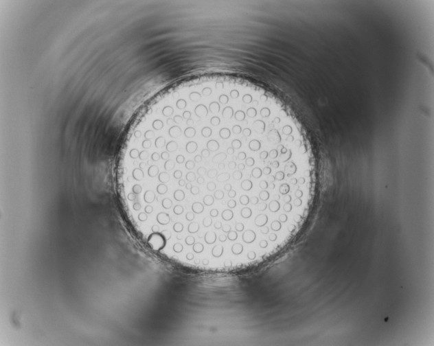 X0000103911113200810171659