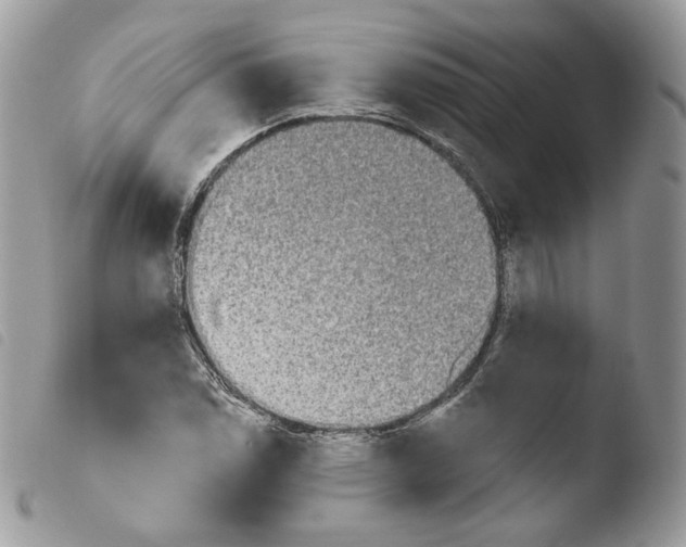 X0000103911114200810171659