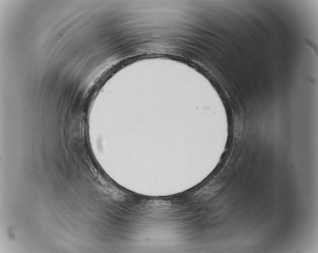X0000103911115200810171659