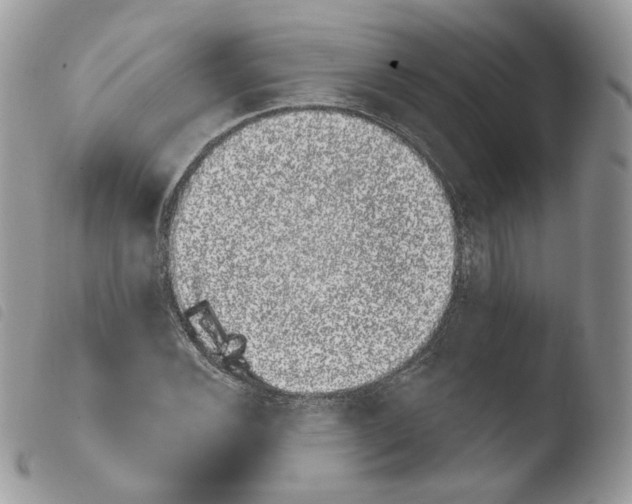 X0000103911116200810171659