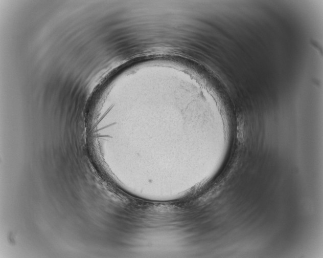 X0000103911117200810171659