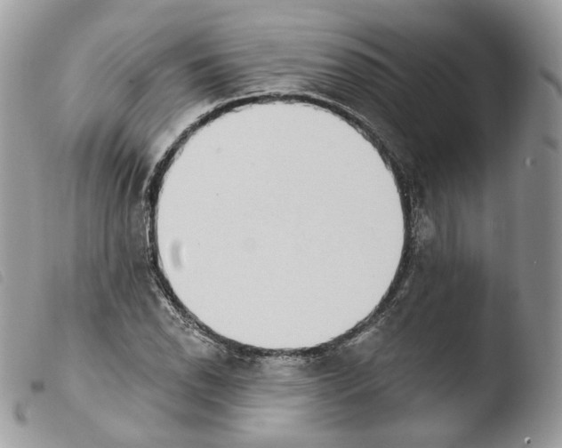 X0000103911118200810171659
