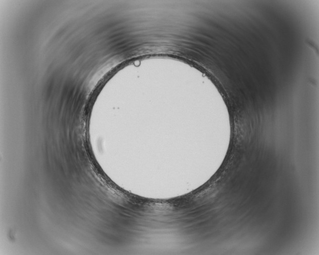 X0000103911119200810171659
