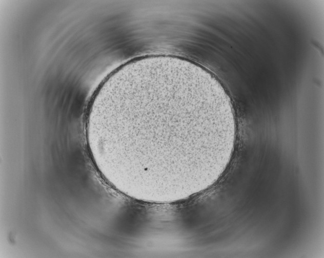 X0000103911120200810171659
