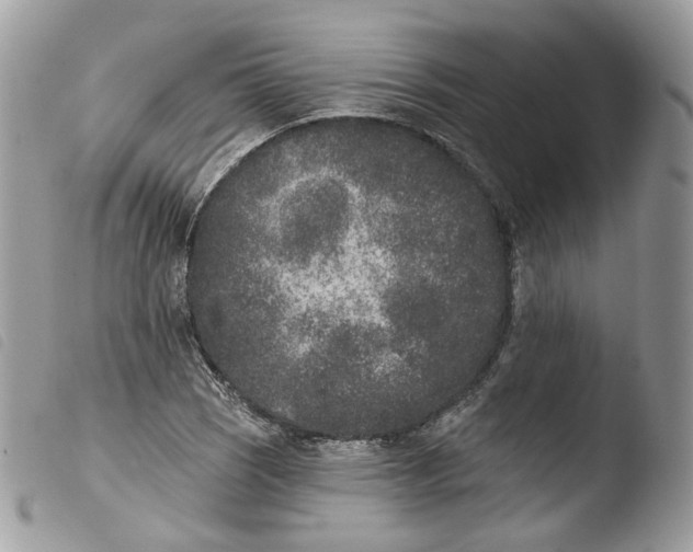 X0000103911121200810171659