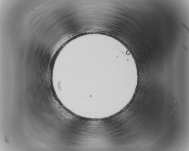 X0000103911122200810171659