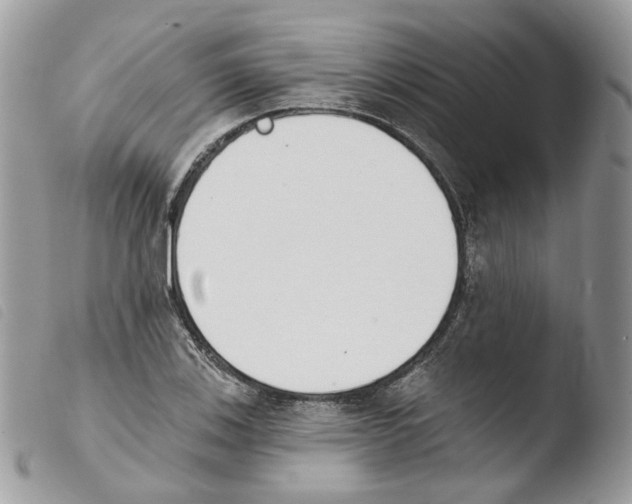 X0000103911123200810171659