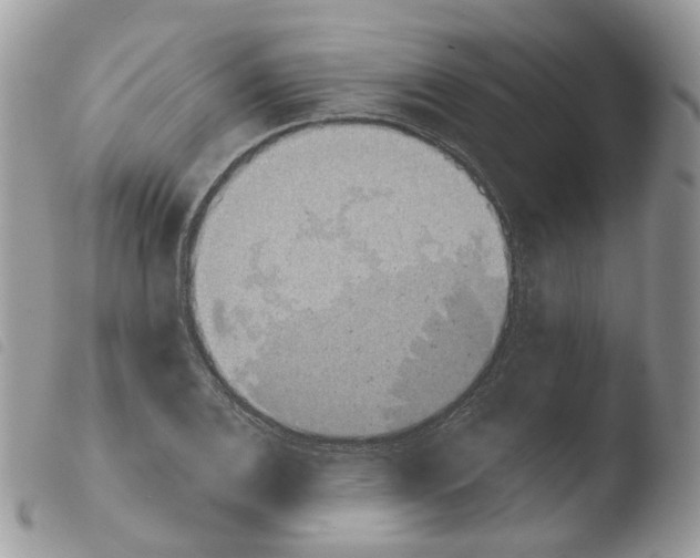 X0000103911124200810171659