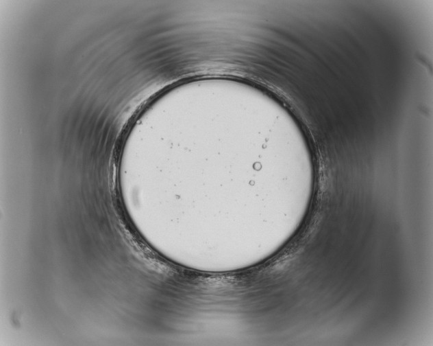 X0000103911125200810171659