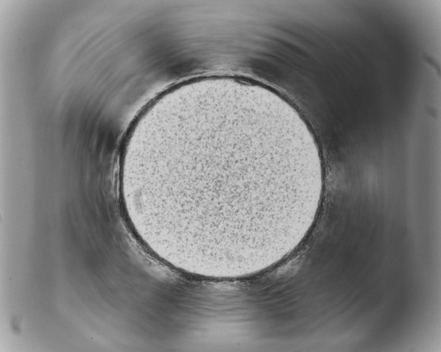 X0000103911126200810171659
