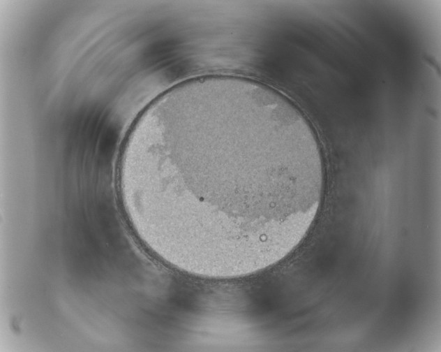 X0000103911128200810171659