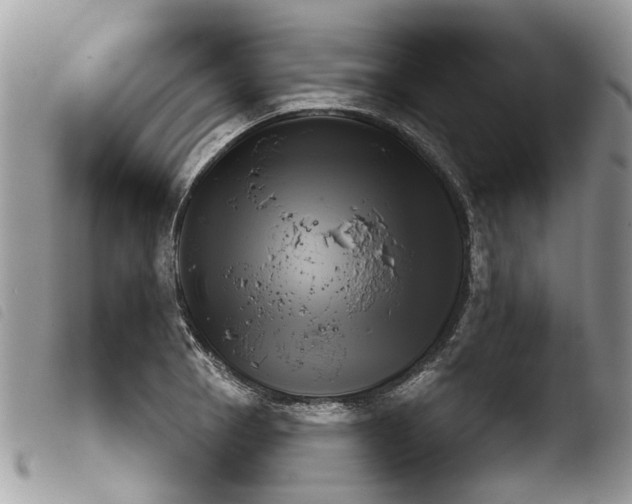 X0000103911129200810171659