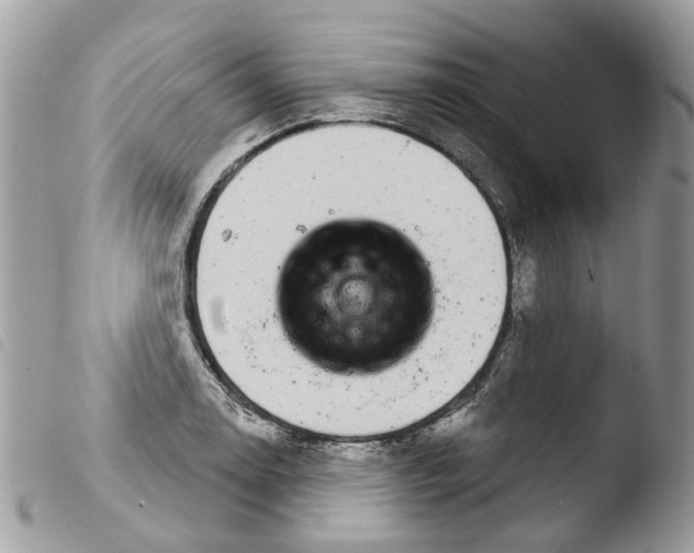 X0000103911130200810171659