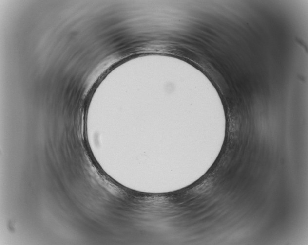 X0000103911131200810171659