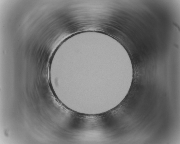 X0000103911132200810171659