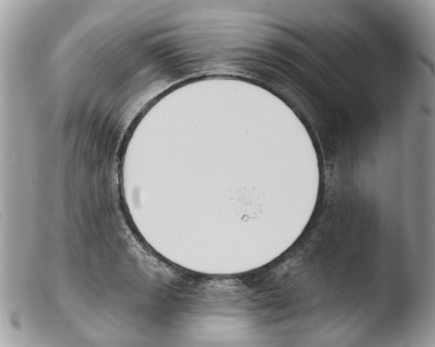 X0000103911133200810171659