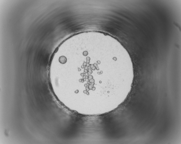 X0000103911134200810171659