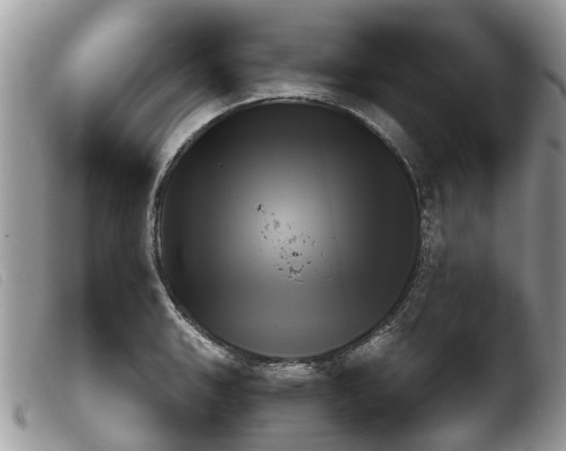 X0000103911135200810171659