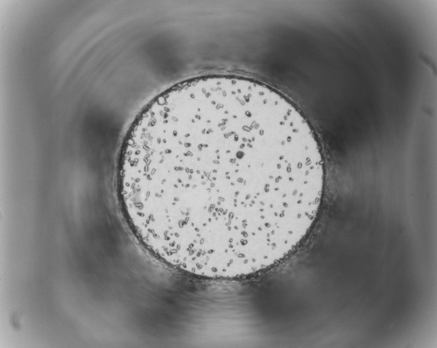 X0000103911136200810171659