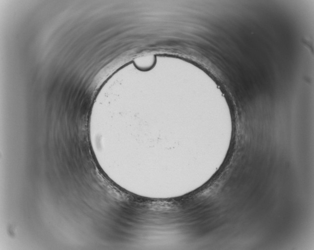 X0000103911137200810171659