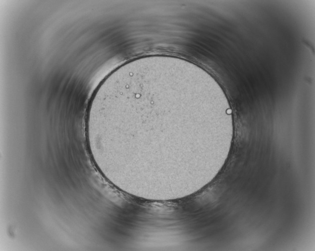 X0000103911138200810171659