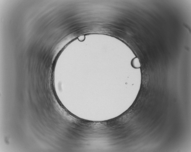 X0000103911139200810171659