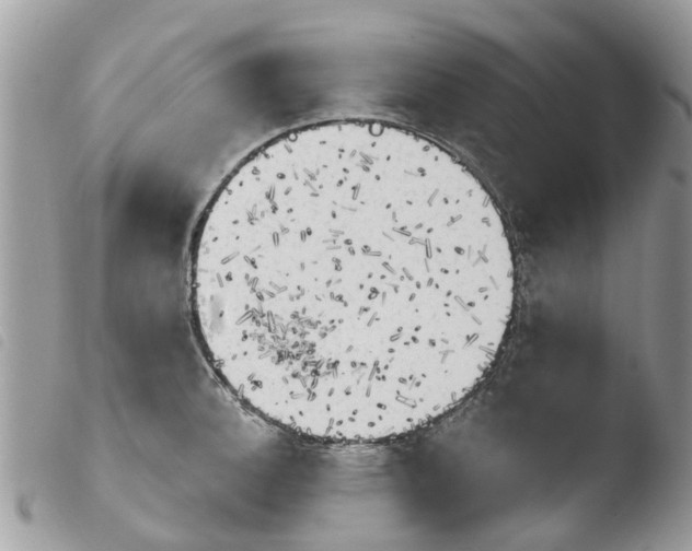 X0000103911140200810171659