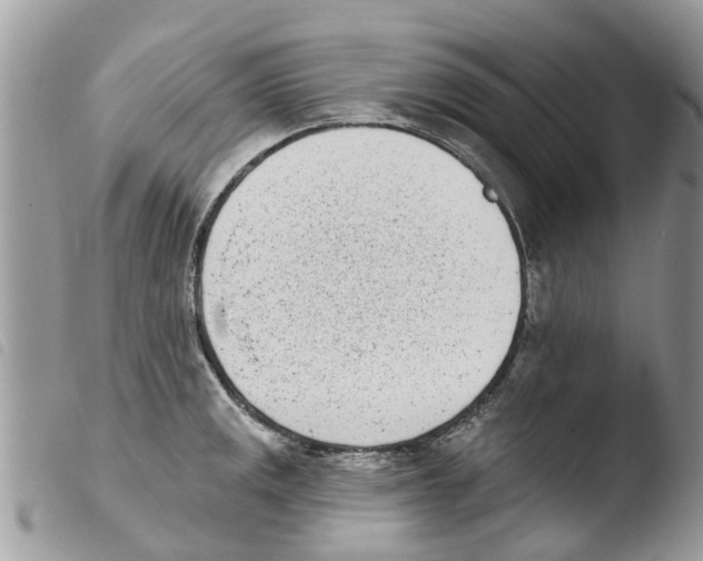 X0000103911141200810171659