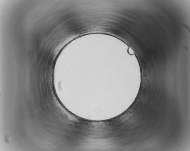 X0000103911142200810171659