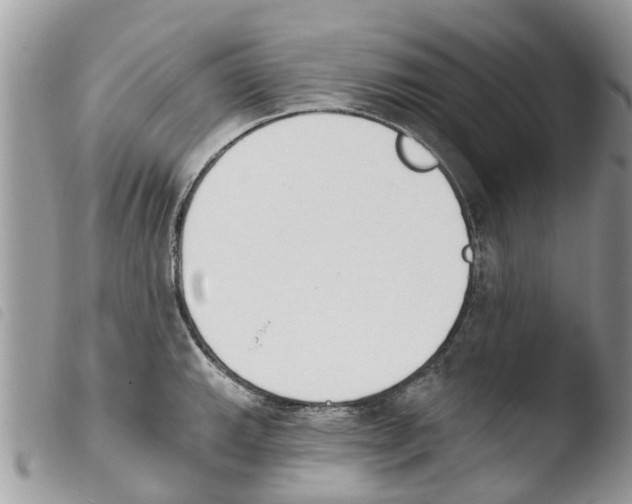 X0000103911143200810171659