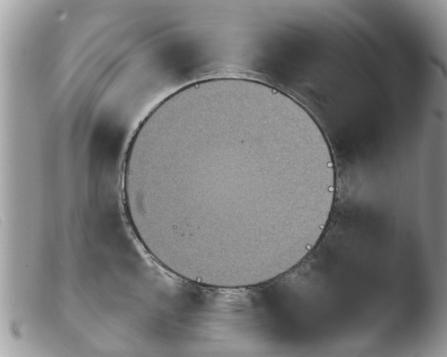 X0000103911144200810171659